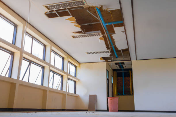 Best Flooded house restoration  in Laureles, TX