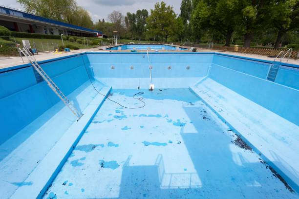 Best Water damage cleanup near me  in Laureles, TX