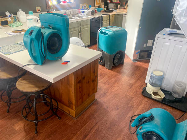 Trusted Laureles, TX Water damage restoration Experts