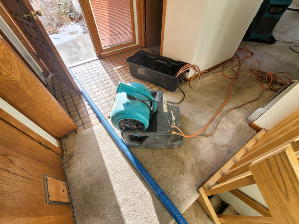 Best Commercial water damage restoration  in Laureles, TX