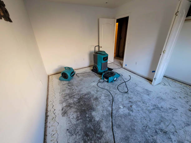 Best Sewage cleanup and water damage restoration  in Laureles, TX
