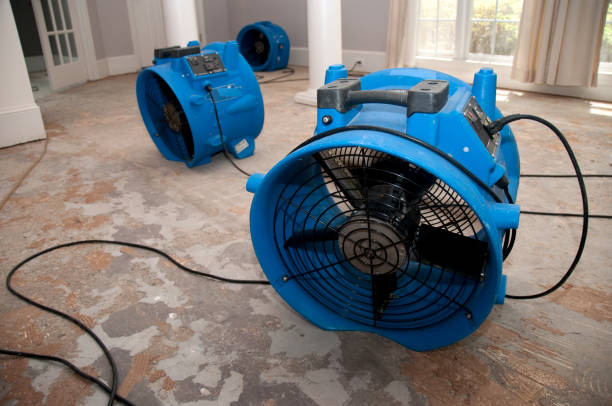 Best Flood restoration services  in Laureles, TX