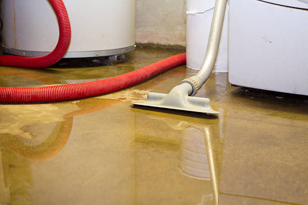 Best Carpet water damage restoration  in Laureles, TX