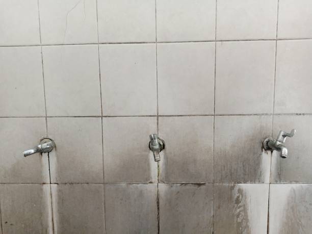 Best Carpet water damage restoration  in Laureles, TX