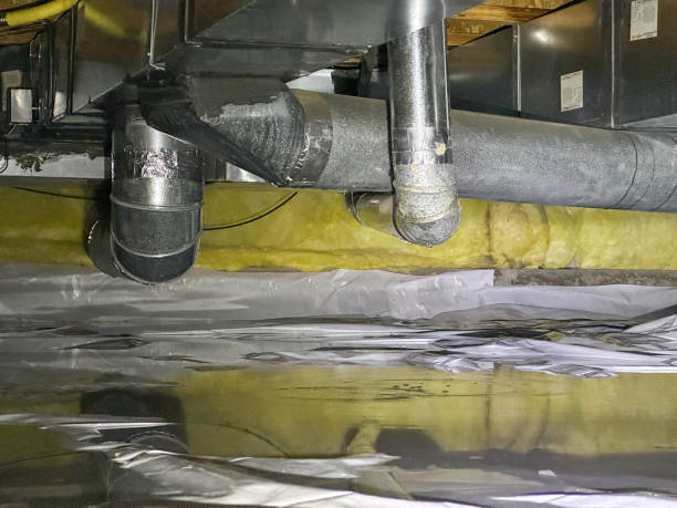 Best 24-hour water damage restoration  in Laureles, TX