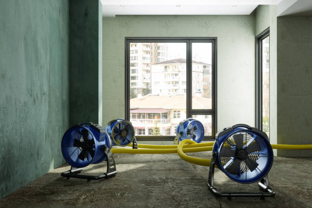 Best Water damage contractors near me  in Laureles, TX